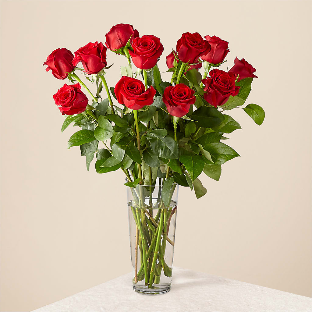 Long Stem Red Rose Bouquet – Family Florist, Red Springs NC
