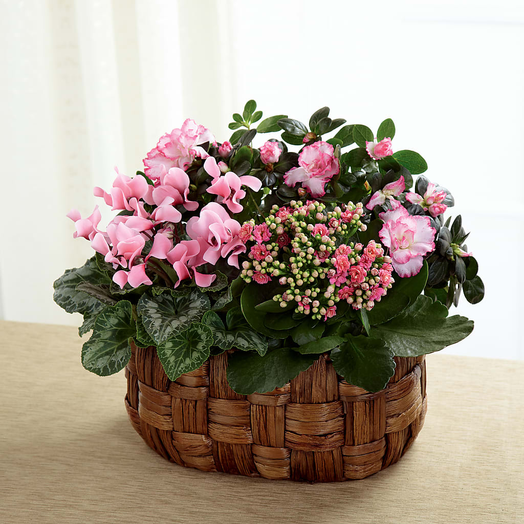 Pink Assortment – Family Florist, Red Springs NC