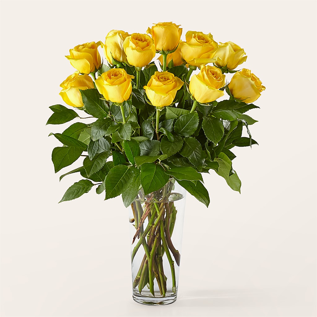 Long Stem Yellow Rose Bouquet – Family Florist, Red Springs NC