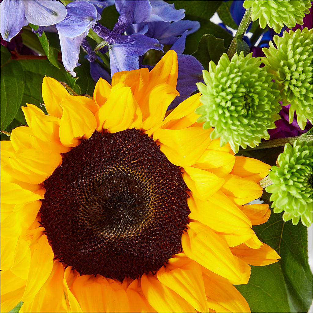 Catching Rays Bouquet – Family Florist, Red Springs NC