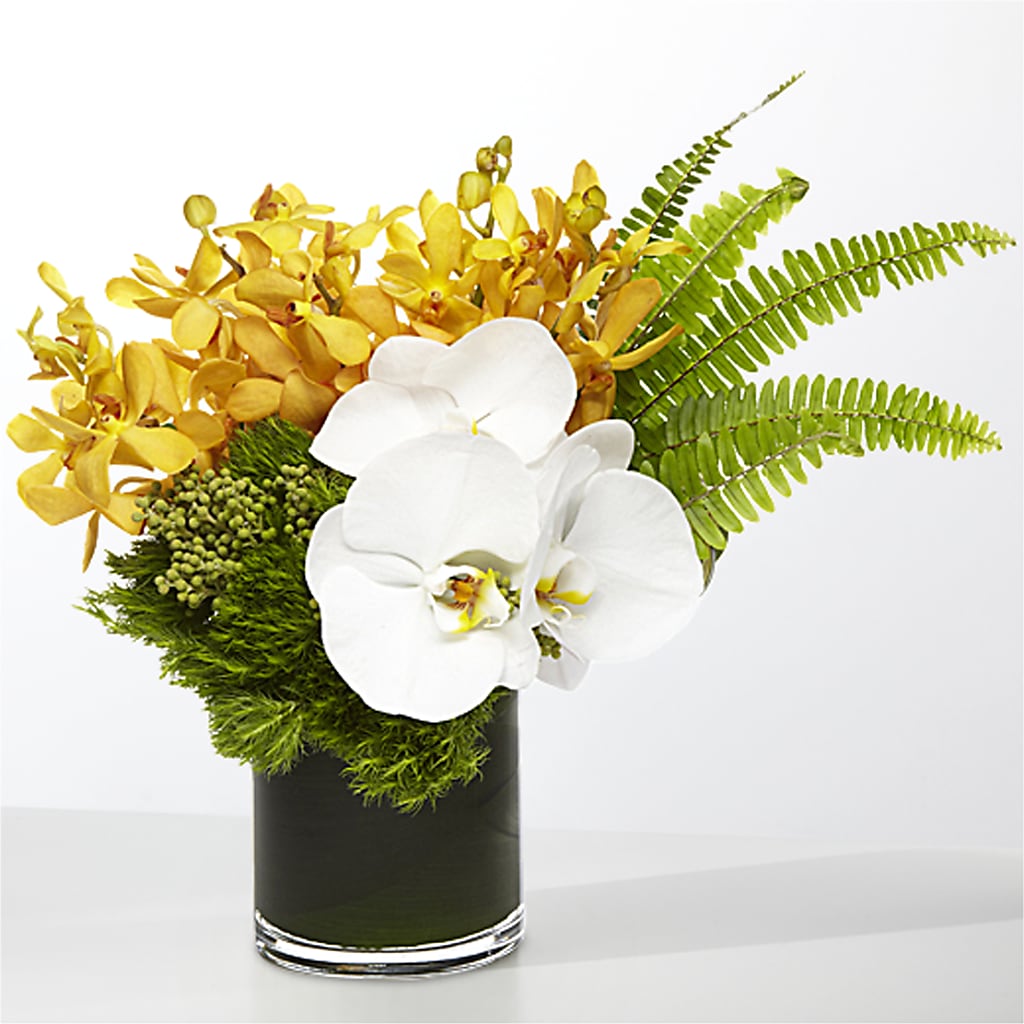 The Tropics – Family Florist, Red Springs NC