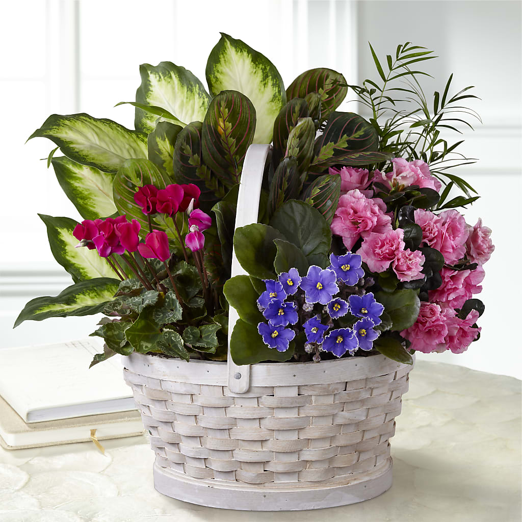 Peaceful Garden Planter – Family Florist, Red Springs NC