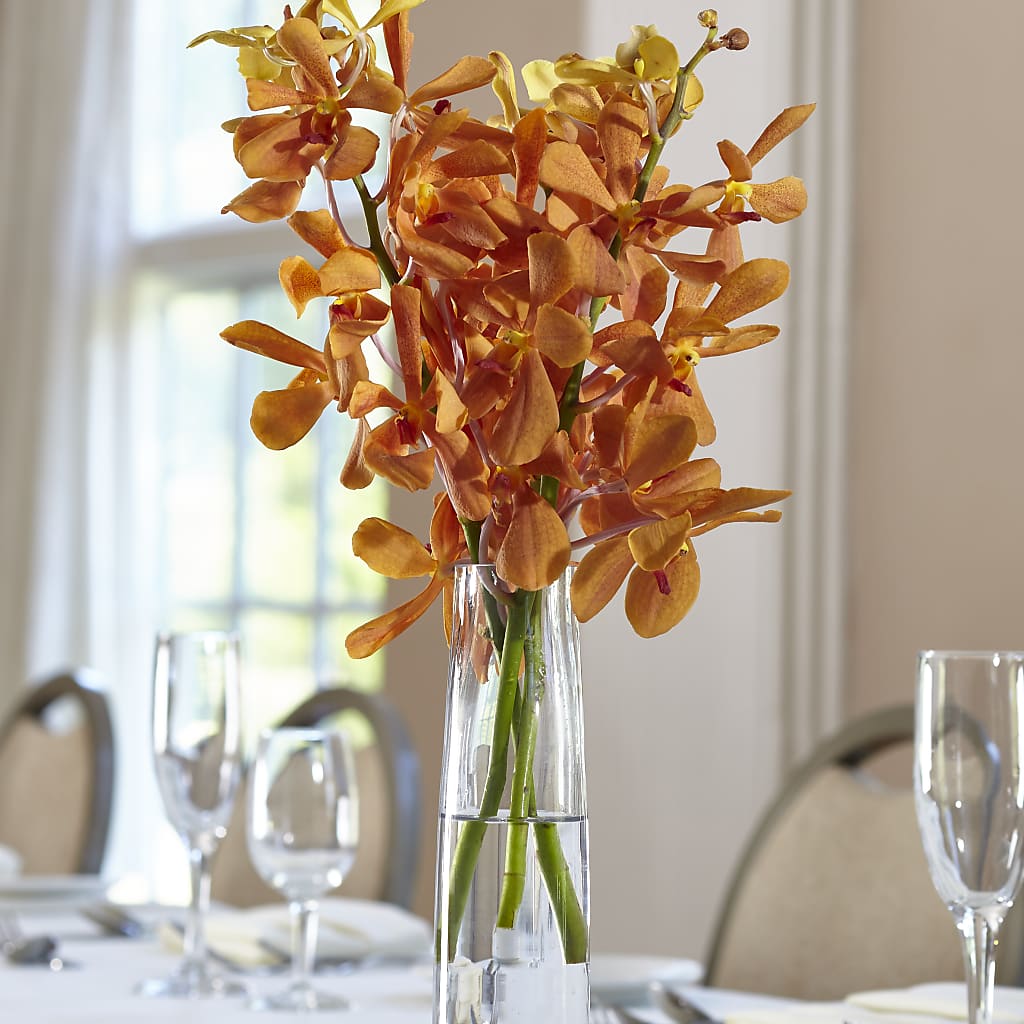 Orange Mokara Bud Vase – Family Florist, Red Springs NC