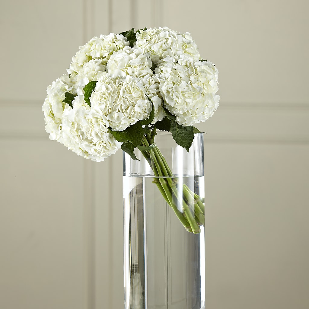 White Hydrangea Hand-Tied Bouquet – Family Florist, Red Springs NC