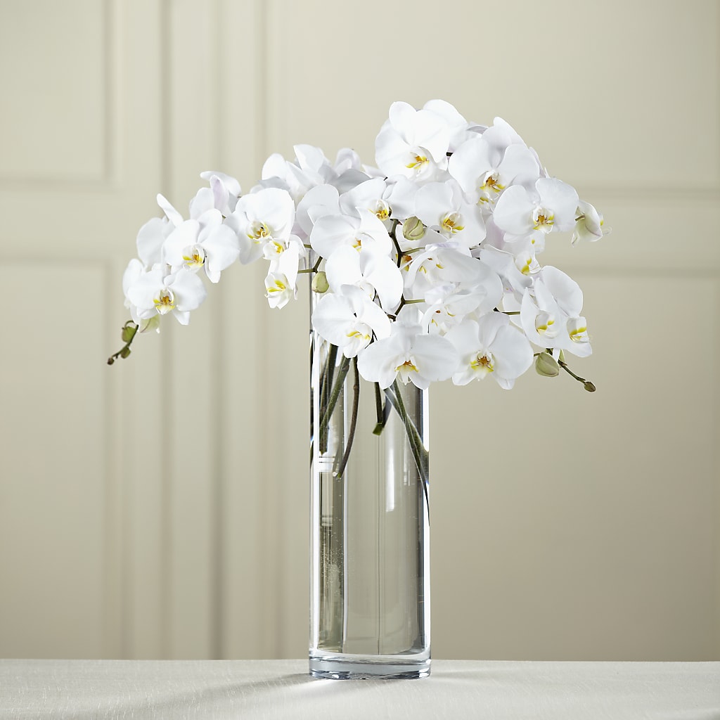 White Phalaenopsis Bouquet – Family Florist, Red Springs NC