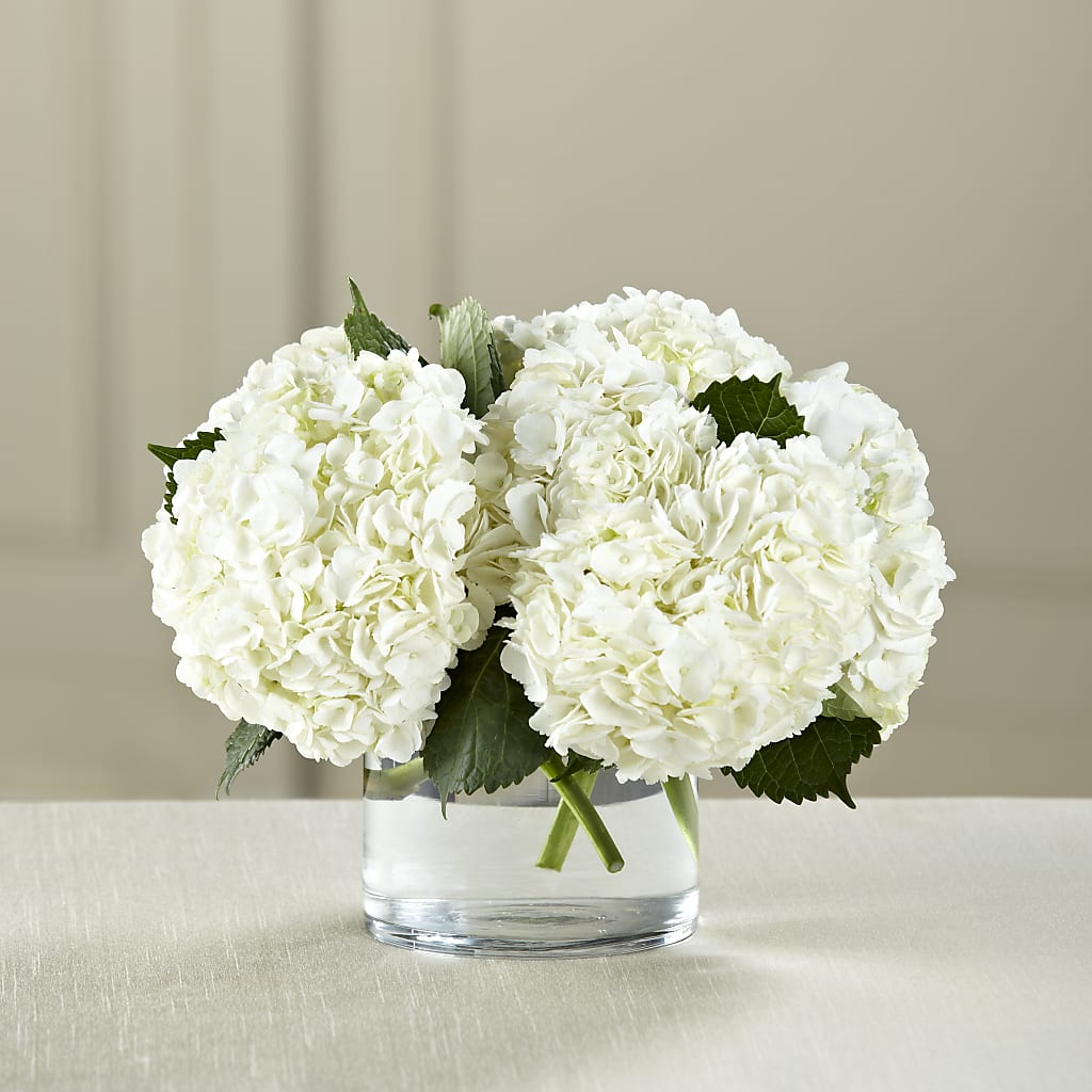 White Hydrangea Bouquet – Family Florist, Red Springs NC