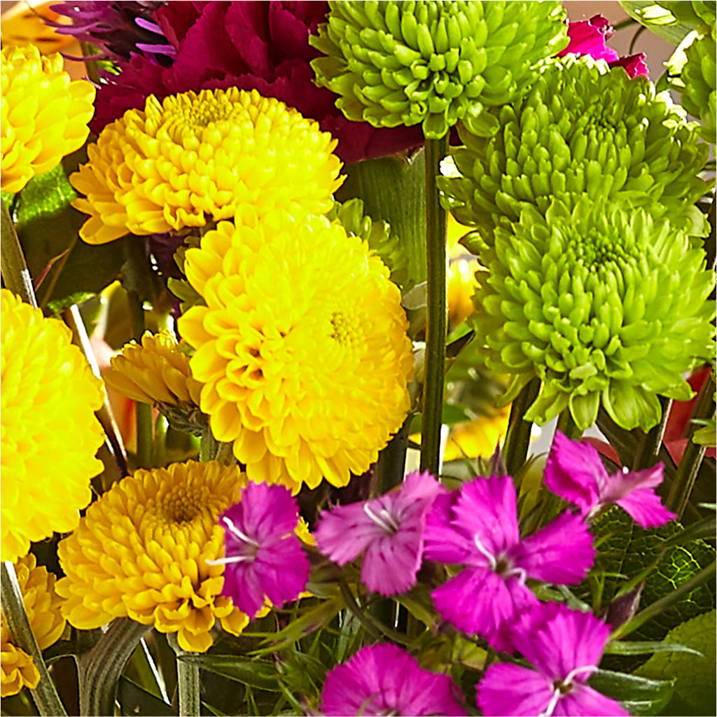Bold & Bright – A Florist Original –  Family Florist, Red Springs NC