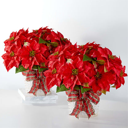 Happiest Holidays Poinsettia Bundle –  Family Florist, Red Springs NC
