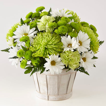 Lucky Charm Basket (Standard) –  Family Florist, Red Springs NC