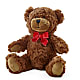 Adorable Plush Bear –  Family Florist, Red Springs NC