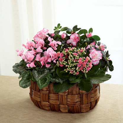 Pink Assortment –  Family Florist, Red Springs NC