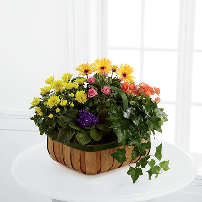 Gentle Blossoms Basket –  Family Florist, Red Springs NC