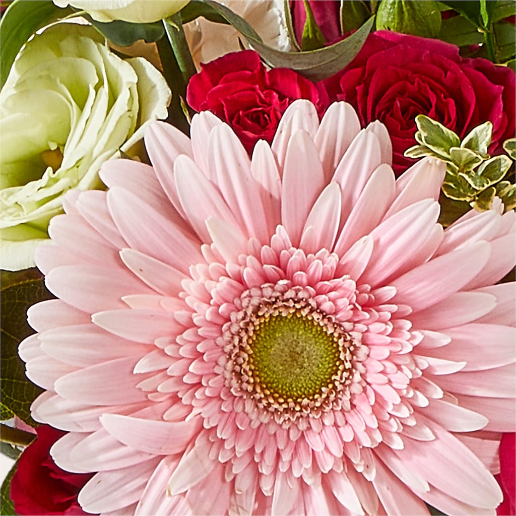 Too Cute Bouquet –  Family Florist, Red Springs NC