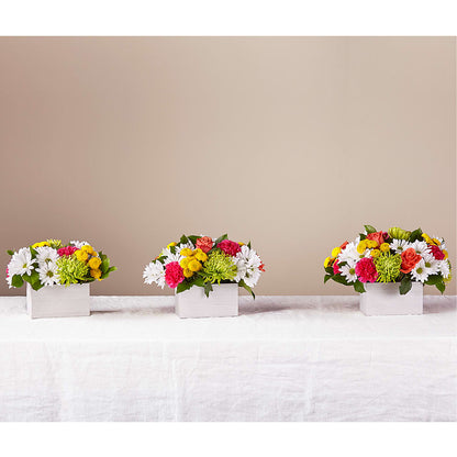 Sorbet Bouquet –  Family Florist, Red Springs NC