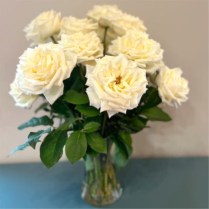 Long Stem Yellow Rose Bouquet –  Family Florist, Red Springs NC