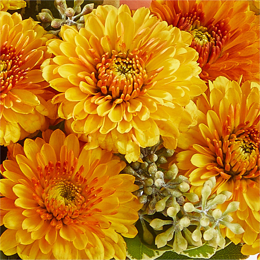 Peachy Pumpkin –  Family Florist, Red Springs NC