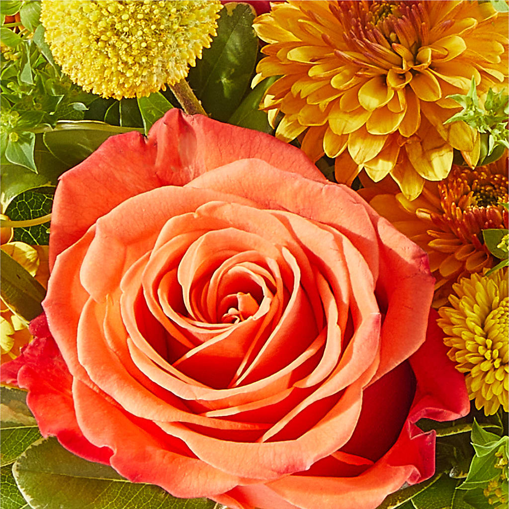 Gourdgeous Pumpkin –  Family Florist, Red Springs NC