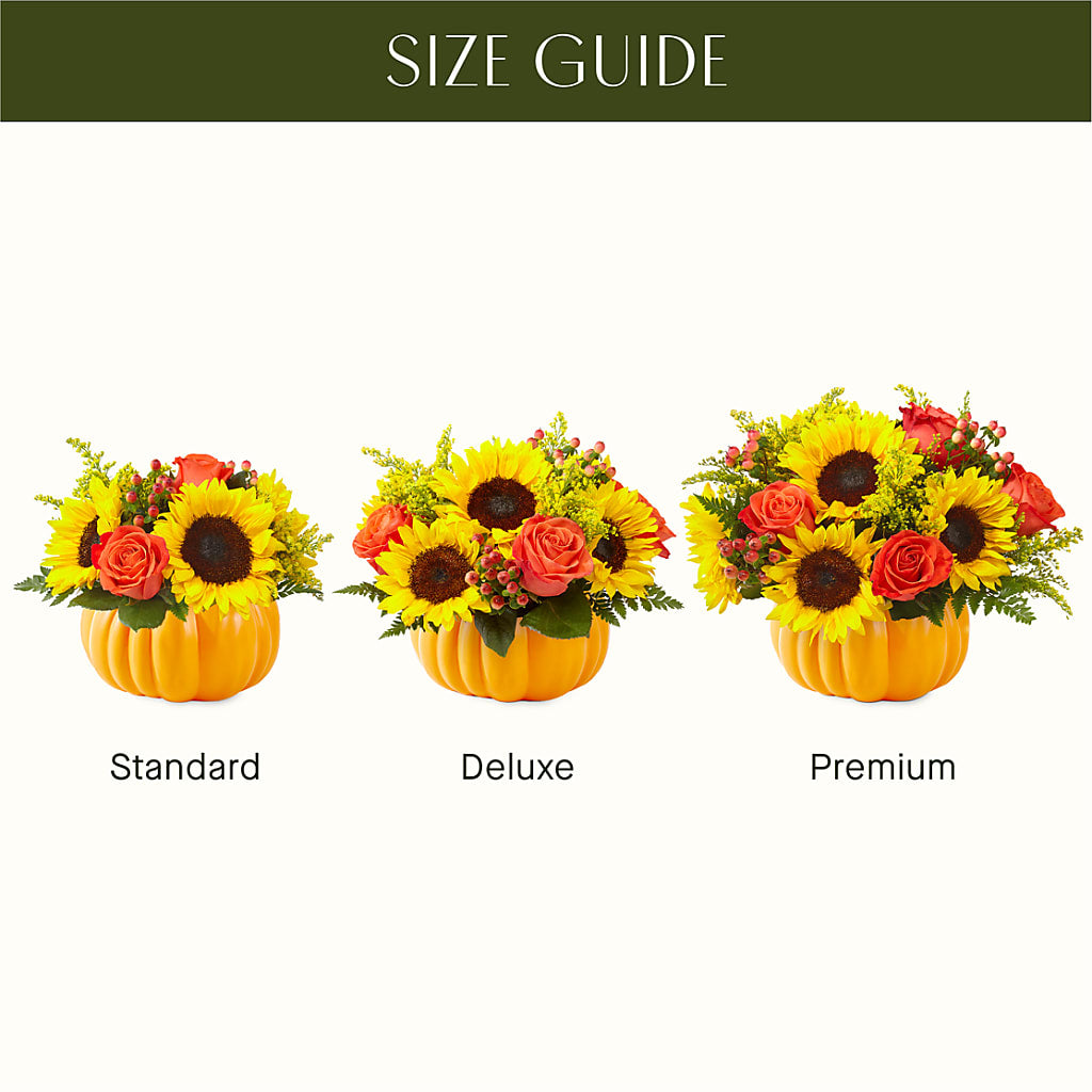 Pick of the Patch Pumpkin Bouquet –  Family Florist, Red Springs NC
