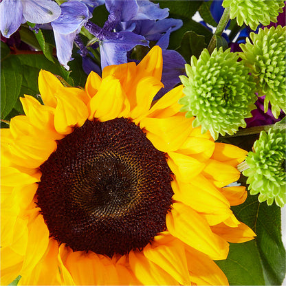 Catching Rays Bouquet –  Family Florist, Red Springs NC