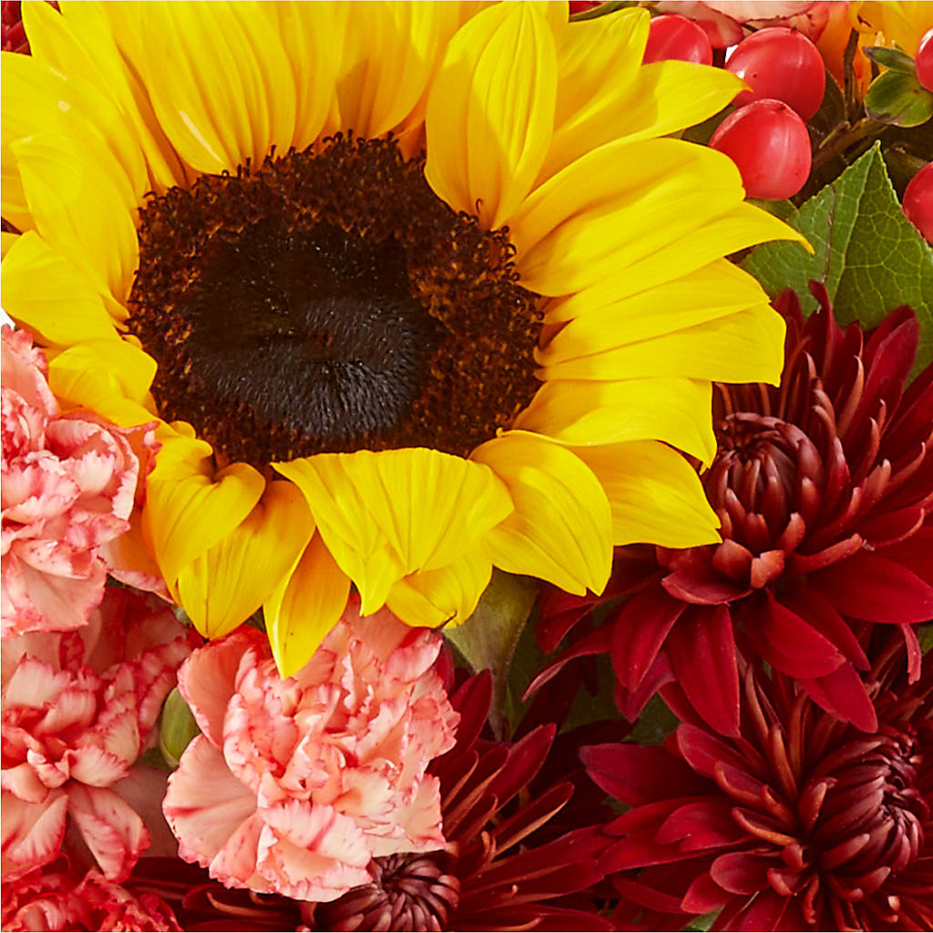 Fresh Cider Bouquet –  Family Florist, Red Springs NC