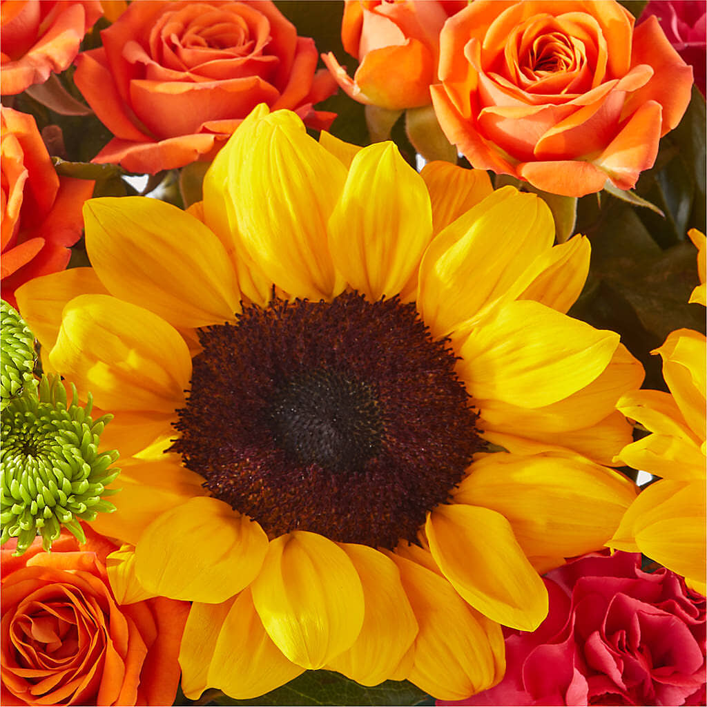 Sun-drenched Blooms Box Bouquet –  Family Florist, Red Springs NC