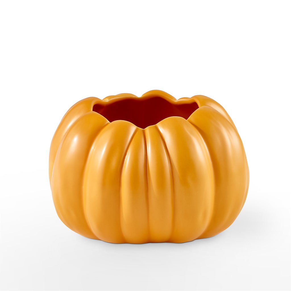 Pick of the Patch Pumpkin Bouquet –  Family Florist, Red Springs NC