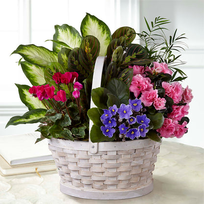 Peaceful Garden Planter –  Family Florist, Red Springs NC