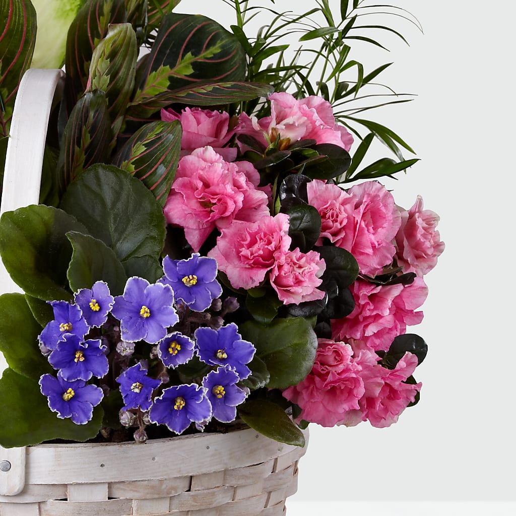 Peaceful Garden Planter –  Family Florist, Red Springs NC