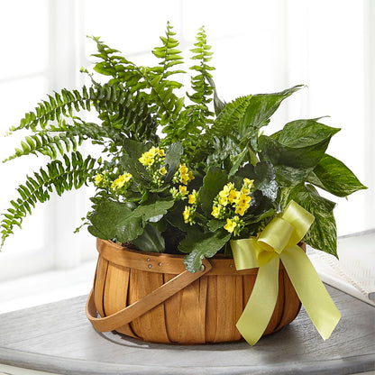 Always Dear Dishgarden –  Family Florist, Red Springs NC