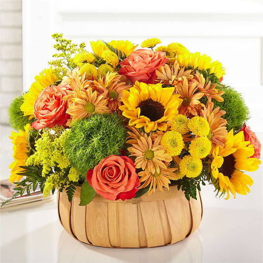 Harvest Sunflower Basket –  Family Florist, Red Springs NC