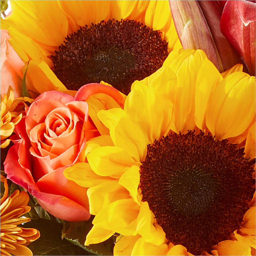 Acorn Lane Bouquet –  Family Florist, Red Springs NC