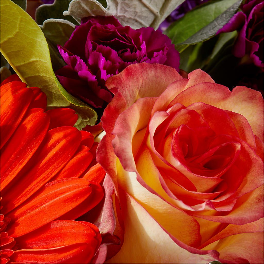 Sangria Bouquet –  Family Florist, Red Springs NC