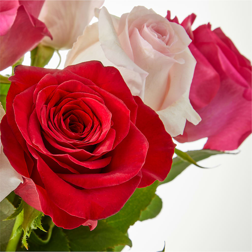 Charming Rose Bouquet –  Family Florist, Red Springs NC
