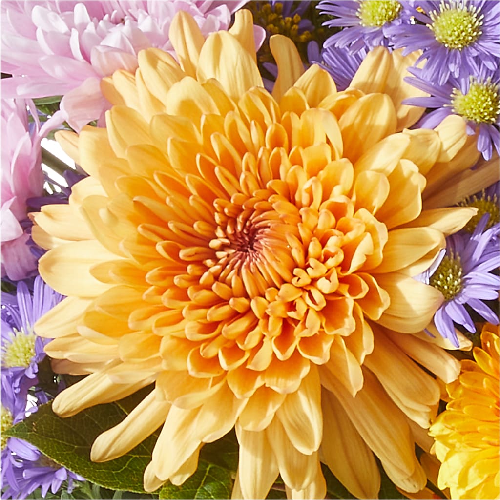 Countryside Bouquet –  Family Florist, Red Springs NC