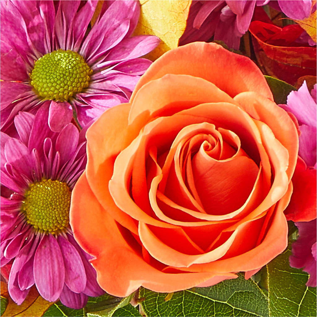 Mum's the Word Bouquet –  Family Florist, Red Springs NC