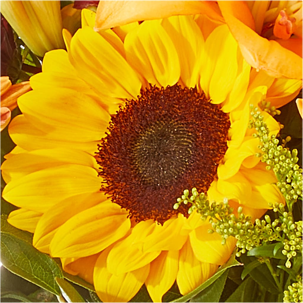 Seasons Change Bouquet –  Family Florist, Red Springs NC