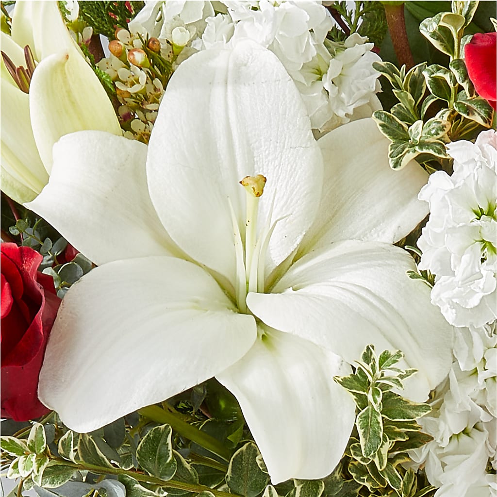 Twinkle Lights Bouquet –  Family Florist, Red Springs NC