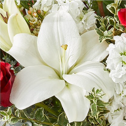 Twinkle Lights Bouquet –  Family Florist, Red Springs NC