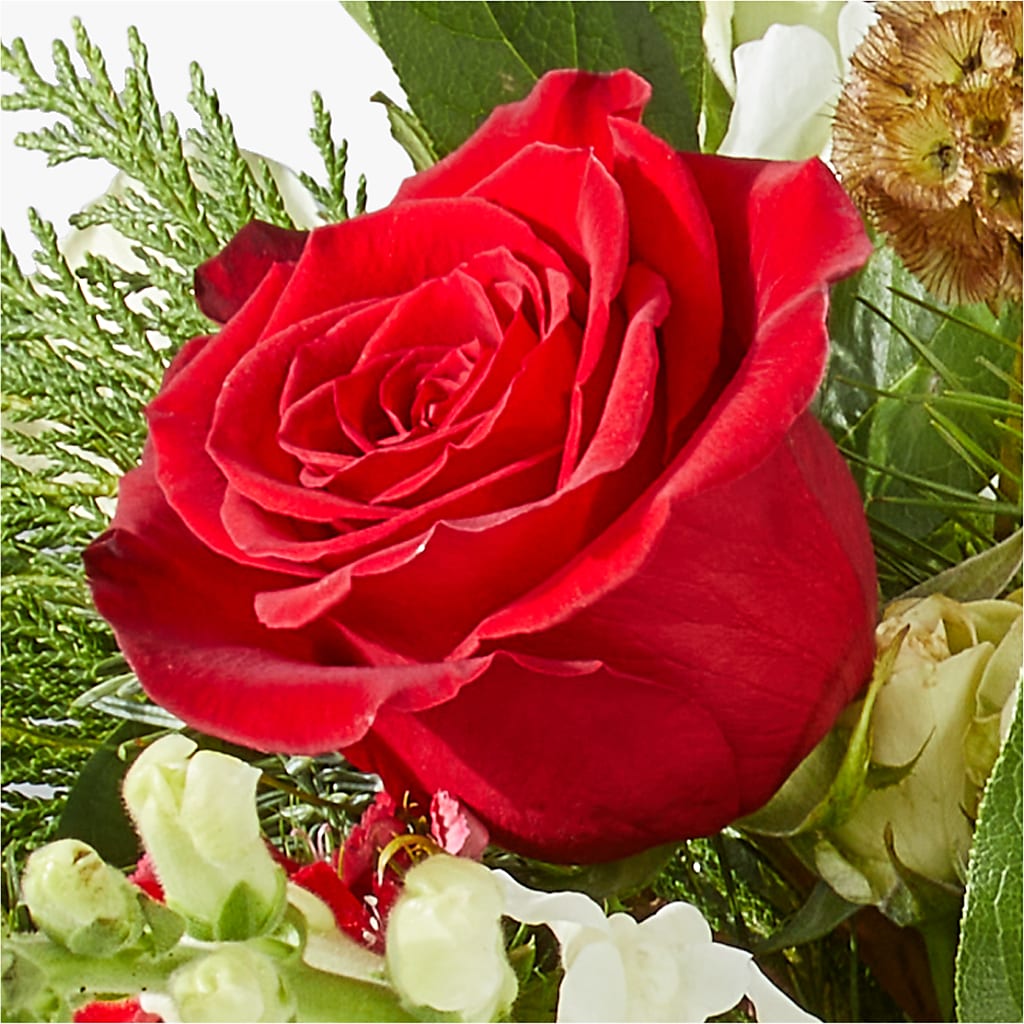 Deck the Halls Bouquet –  Family Florist, Red Springs NC