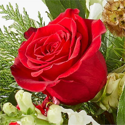 Deck the Halls Bouquet –  Family Florist, Red Springs NC