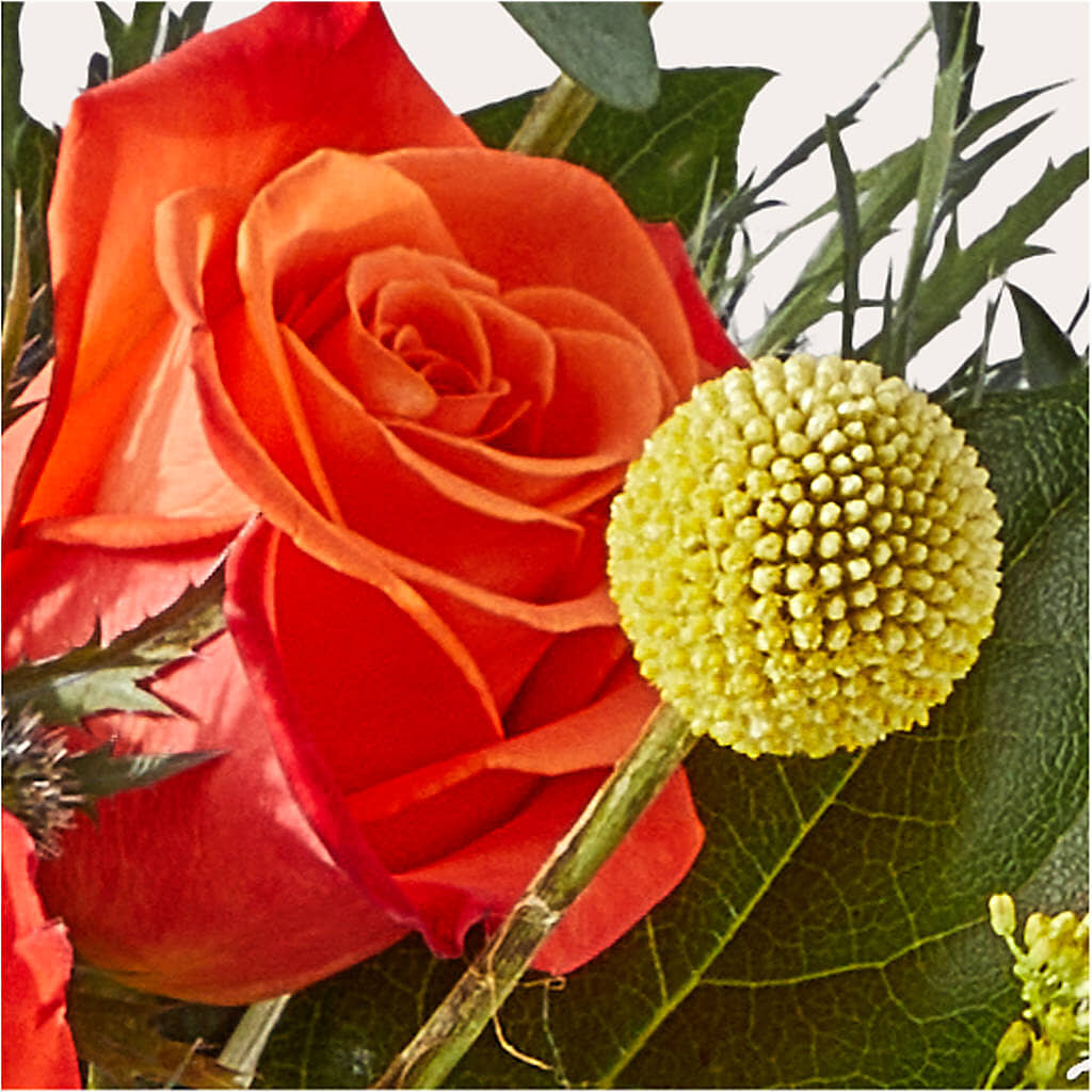 Disco Bouquet –  Family Florist, Red Springs NC