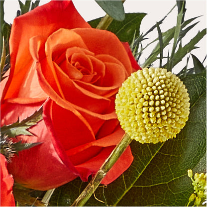 Disco Bouquet –  Family Florist, Red Springs NC