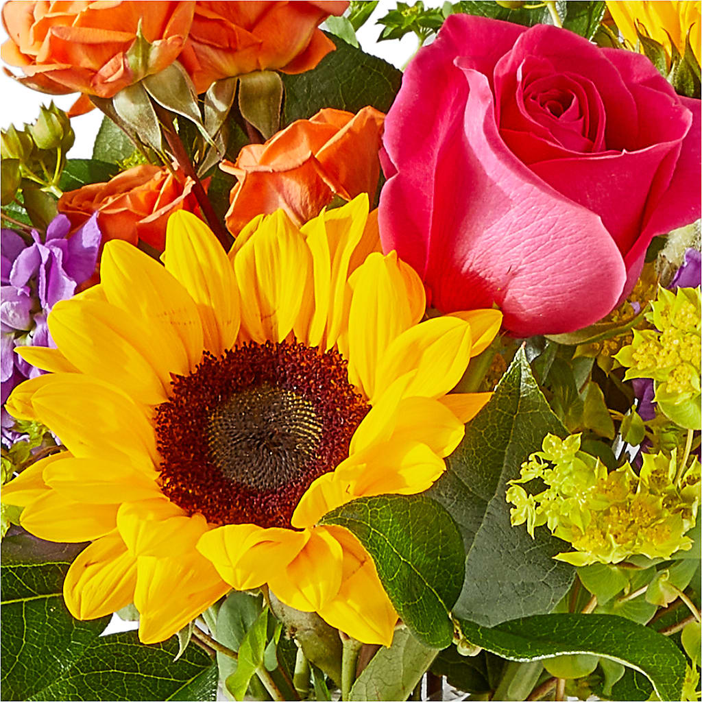 Vibrant Greetings Bouquet –  Family Florist, Red Springs NC