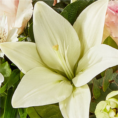 Ballet Slippers Bouquet –  Family Florist, Red Springs NC