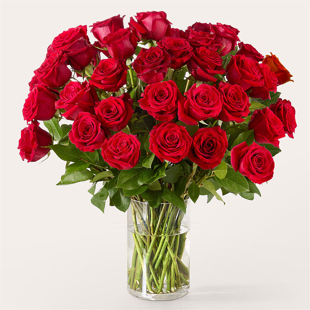 The One Red Rose Bouquet –  Family Florist, Red Springs NC