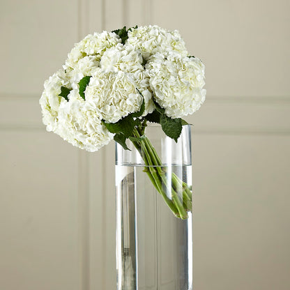 White Hydrangea Hand-Tied Bouquet –  Family Florist, Red Springs NC
