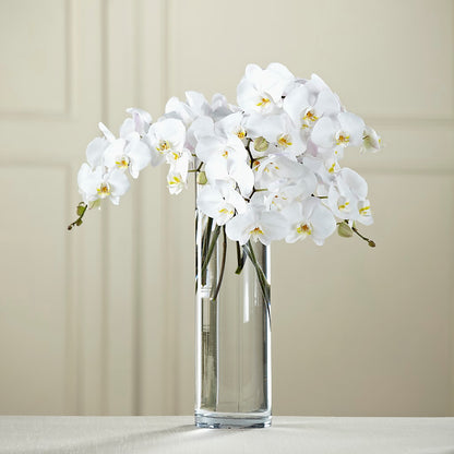 White Phalaenopsis Bouquet –  Family Florist, Red Springs NC