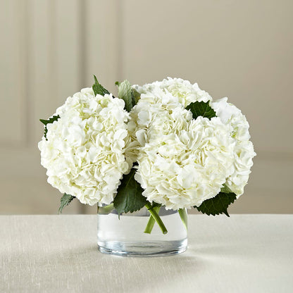White Hydrangea Bouquet –  Family Florist, Red Springs NC
